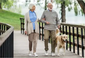 Walking Benefits